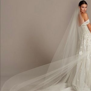 Ivory, Cathedral-Length Veil from David’s Bridal